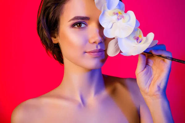 Vista recortada del brillo atractivo chica mantenga el toque de orquídea aroma de primavera aislado rojo brillante multicolor fondo de color —  Fotos de Stock