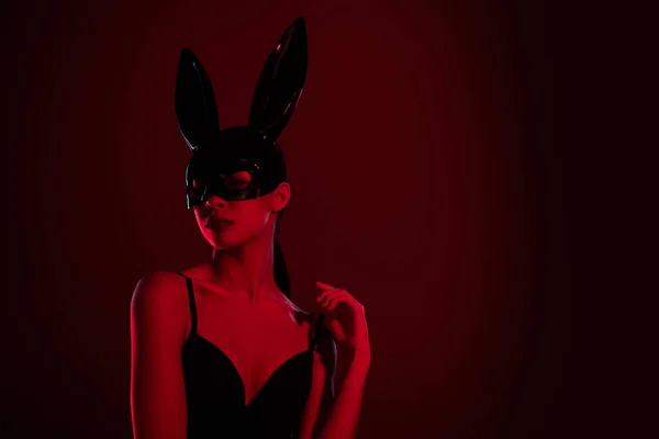 Photo Erotica Stylish Chic Lady Babe Night Club Wearing Bunny — Stock Photo, Image