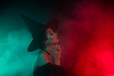 Profile side photo of wicked gothic lady warlock pray do magic on full moon isolated gradient bright color background.