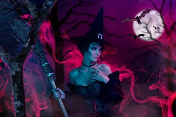 魔術師のコラージュポスター魅惑的な女性ハロウィン仮面舞踏会はほうき満月の夜の森複数の超色を保持 — ストック写真