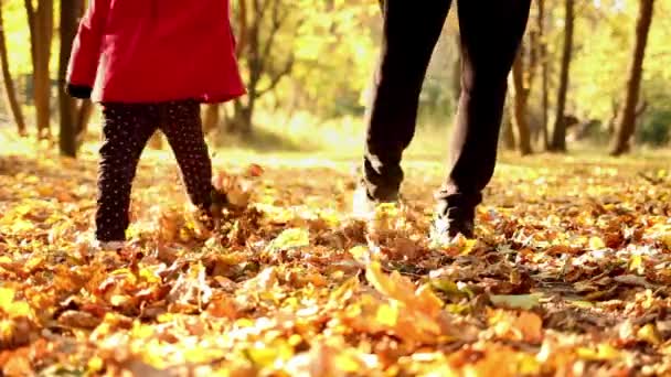 Μπαμπάς Και Μικρή Κόρη Περπατούν Φθινοπωρινά Πεσμένα Φύλλα Φθινοπωρινό Πάρκο — Αρχείο Βίντεο