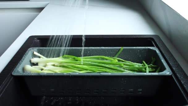 Φτερά Κρεμμυδιού Πλένονται Ειδικό Δίσκο Για Λαχανικά Ρυάκι Νερό Χύνεται — Αρχείο Βίντεο