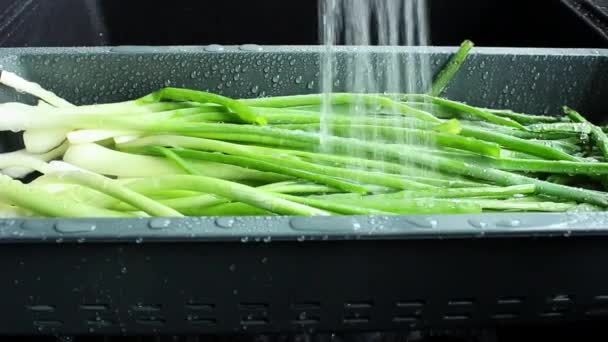 Penas Cebola Lavam Uma Bandeja Especial Verduras Fluxo Água Derrama — Vídeo de Stock