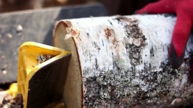 Erkek ellerinin hidrolik odun kırıcıyla huş ağacı yakacak odun kesmesi. Bıçkıhane. Şömine için huş ağacı yakacak.