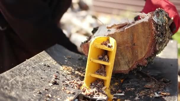 Close Male Hands Chopping Birch Firewood Hydraulic Wood Splitter Sawmill — Stock Video