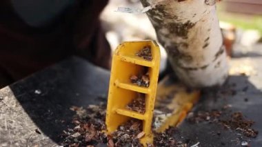 Erkek ellerinin hidrolik odun kırıcıyla huş ağacı yakacak odun kesmesi. Bıçkıhane. Şömine için huş ağacı yakacak..