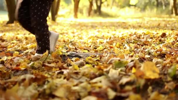 一个小女孩正在秋天落叶上散步 秋天公园 小孩的腿靠在黄橙叶上 靠得很近 — 图库视频影像