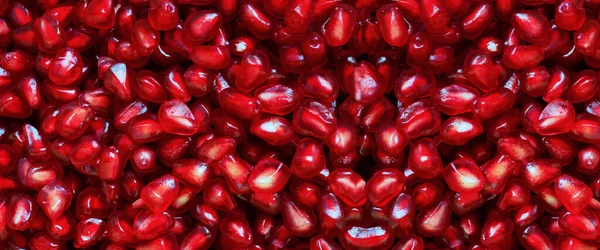 Banner of red Background of Grain Red Grenades. Big Ripe Red Granets or Garnets. Fruits of Red Ripe Pomegranate. Vegetarian Concept, Organic Vitamins. Organic and Benefit Garnet Fruit.