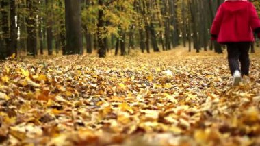 A little girl of three years in a red coat runs through the autumn forest on a yellow-orange leaf
