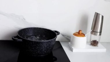 The saucepan stands on an electric induction stove and water boils in it.