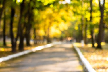 Sonbahar manzarası ile bulanık arkaplan. Güneşli parkta bulanık ağaç dalları, soyut sonbahar doğal arka plan.