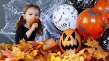 Küçük bir cadı kız Cadılar Bayramı 'nın arka planında bir dilim balkabağını ağır çekimde yerken komiktir. Cadılar Bayramı 'nın özellikleri. Balkabağından oyulmuş fener Jack-o-fener olarak bilinir.
