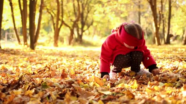 Cute Little Girl Red Coat Plays Yellow Fallen Autumn Leaves — Wideo stockowe
