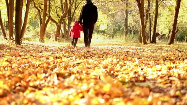 Dad Little Daughter Walking Autumn Fallen Leaves Autumn Park — Wideo stockowe
