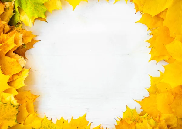 Background Many Yellow Maple Leaves Space Text White Background Autumn — Stok fotoğraf