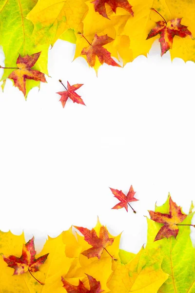 Vertical Background Many Yellow Maple Leaves Space Text White Background — Zdjęcie stockowe