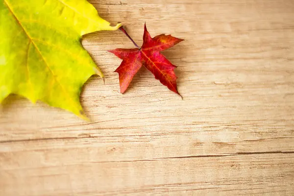 Background Many Yellow Maple Leaves Space Text Wooden Background Autumn — Stockfoto