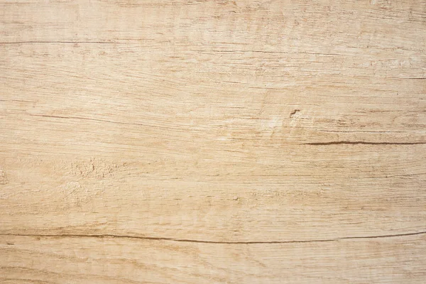 Detailed warm dark brown and orange tones of a felled tree trunk. Close-up wood texture.