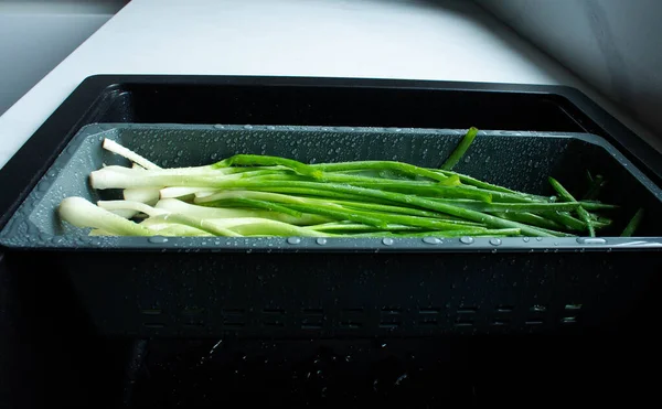 The onion feathers are washed in a special tray for vegetables. The green onions with water drops in the washing tray. Vegetable greens are good for health.