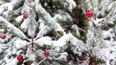Snow-covered pine branches are decorated with New Year's red balls in snowfall close-up. Fabulous winter forest landscape. Christmas tree. The atmosphere of Christmas and New Year