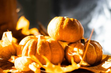 Halloween's holiday attributes. Three pumpkins on a black background with spider webs and autumn leaves. Trick or treat.