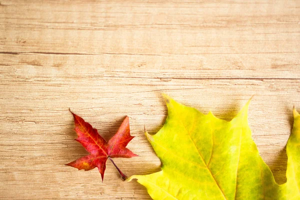 Background Many Yellow Maple Leaves Space Text Wooden Background Autumn — ストック写真