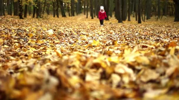 Little Girl Three Years Red Coat Runs Autumn Forest Yellow — Wideo stockowe