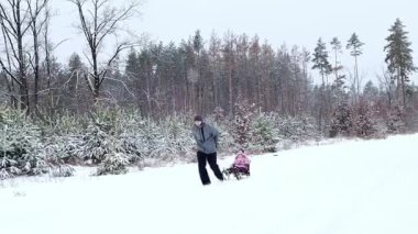 Dad rides a little daughter on a sleigh in slow motion in the winter forest during snowfall. Happy family has fun in winter nature.