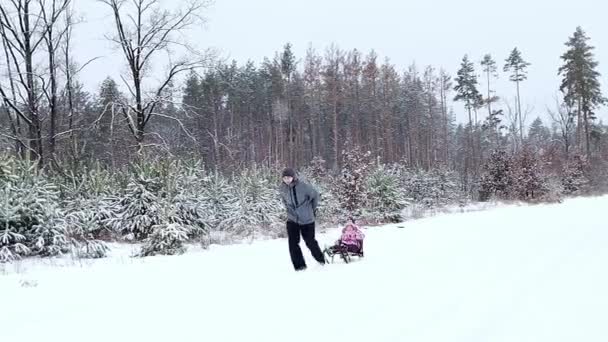 Dad Rides Little Daughter Sleigh Slow Motion Winter Forest Snowfall — Stock video