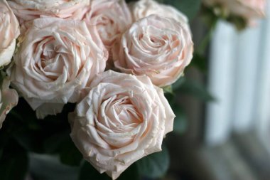 Bahar çiçeklerinin fotoğrafı