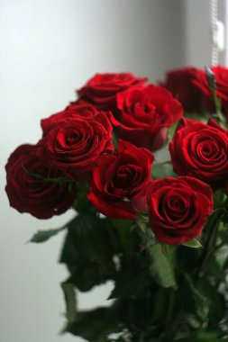 kırmızı güllerin fotoğrafı