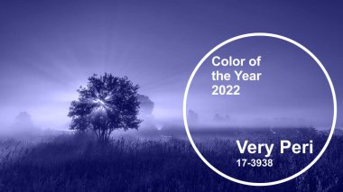 Çok Peri PANTONE 17-3938 2022 'nin renk trendi. Manzara modaya uygun renklerle renklendirilmiş.