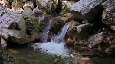 Orman nehri taşların içinde şelaleyle akan suyla