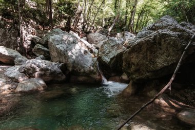 mountain stream with clear water among rocks in forest