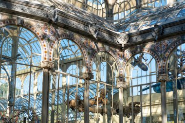 Madrid 'de çelik ve cam yapı