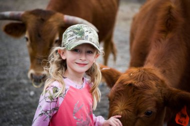 Camo şapkalı ve pembe gömlekli küçük kız Teksas 'ta sığır besliyor.