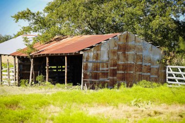 Teksas 'ta Paslı Tin ile Harap Edilmiş Ahır