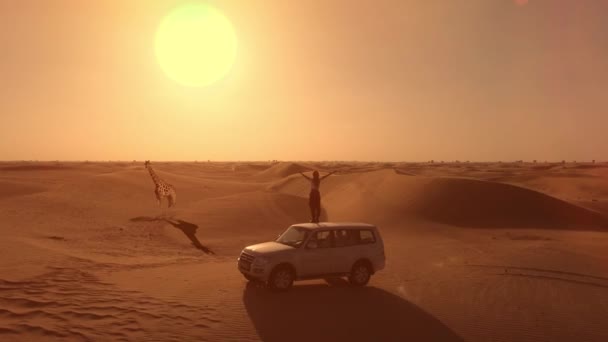 Камера увеличивается. Вид с воздуха на женщину стоит на крыше автомобиля и поднимает руку на оранжевый закат. Жираф ходить по пустыне. — стоковое видео