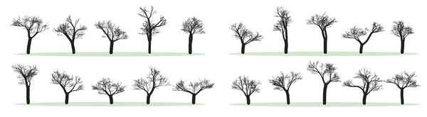 Set Vector Trees Isilhouettes Black White Leaves — Image vectorielle