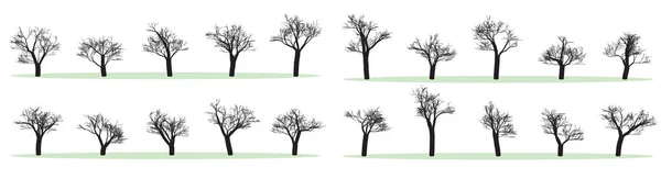 Set Vector Trees Isilhouettes Black White Leaves — Vetor de Stock