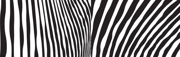Wild Zebra Wave Pattern Set Black White Trendy Stylish Abstract — Stock Vector