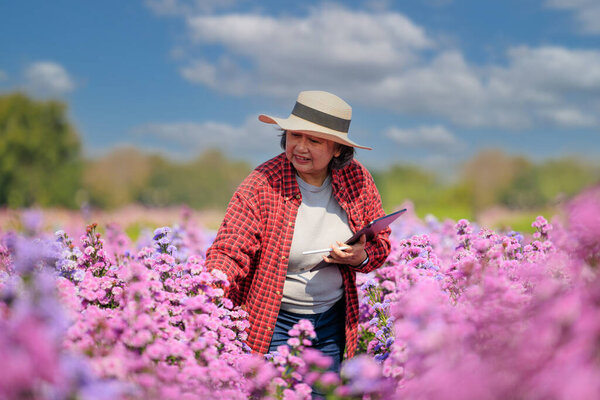 Portrait asian senior woman in Plaid shirt and straw hat holding tablet in hand working in beautiful flower garden with happiness, copy space
