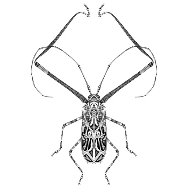 Acrocinus Longimanus Εικονογράφηση Διάνυσμα Επίπεδη Σχεδίαση — Διανυσματικό Αρχείο