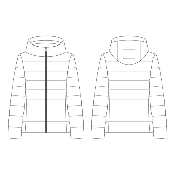 Template Women Puffer Parka Vector Illustration Flat Design Outline Clothing — Stock Vector