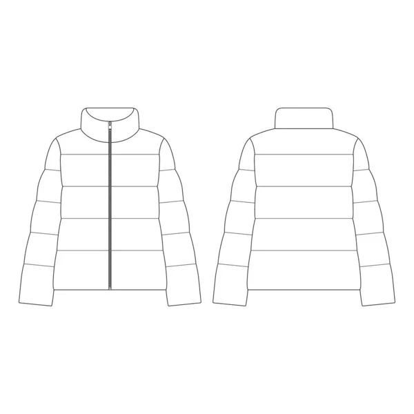 Πρότυπο Γυναίκες Κάτω Puffer Σακάκι Διάνυσμα Εικονογράφηση Επίπεδη Σχεδίαση Περίγραμμα — Διανυσματικό Αρχείο