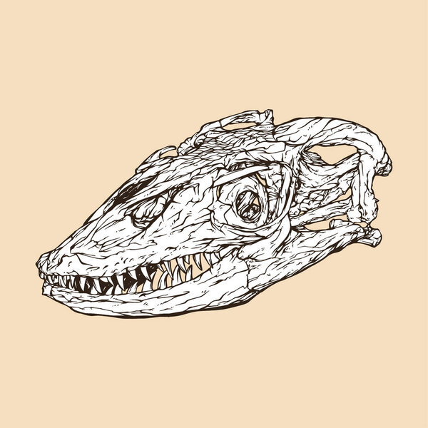 Векторная иллюстрация головы водяного монитора