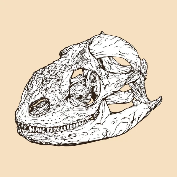 Galapagos Land Iguana Skull Head Vector Illustration — Stock Vector