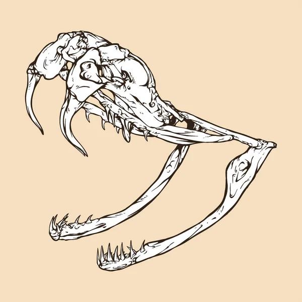 Occidental Diamondback Serpiente Cascabel Cabeza Vector Ilustración — Vector de stock