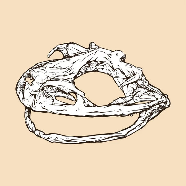Goliath Rana Cráneo Cabeza Vector Ilustración — Vector de stock