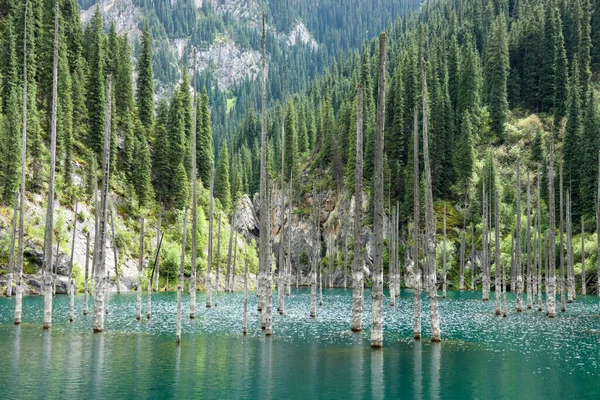 Charyn Kanyonu, Kazakistan Yazı